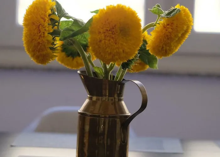 Luxury Old Town Pula